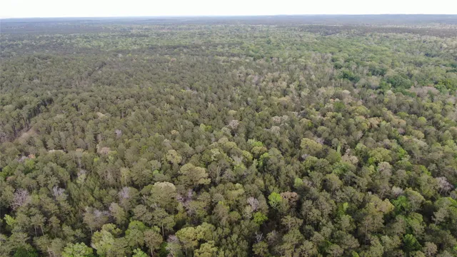 $282,900 | 6260 Colmesneil Tx 75979, Colmesneil, TX 75938