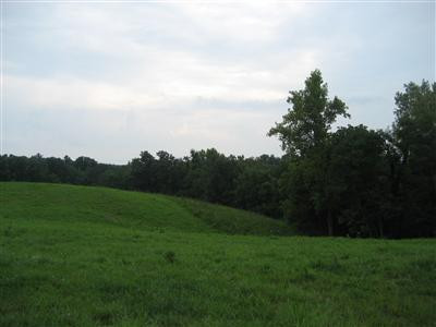 1234 Alton Station Road Lawrenceburg, KY 40342 - Photo 4 of 11 Photo 4