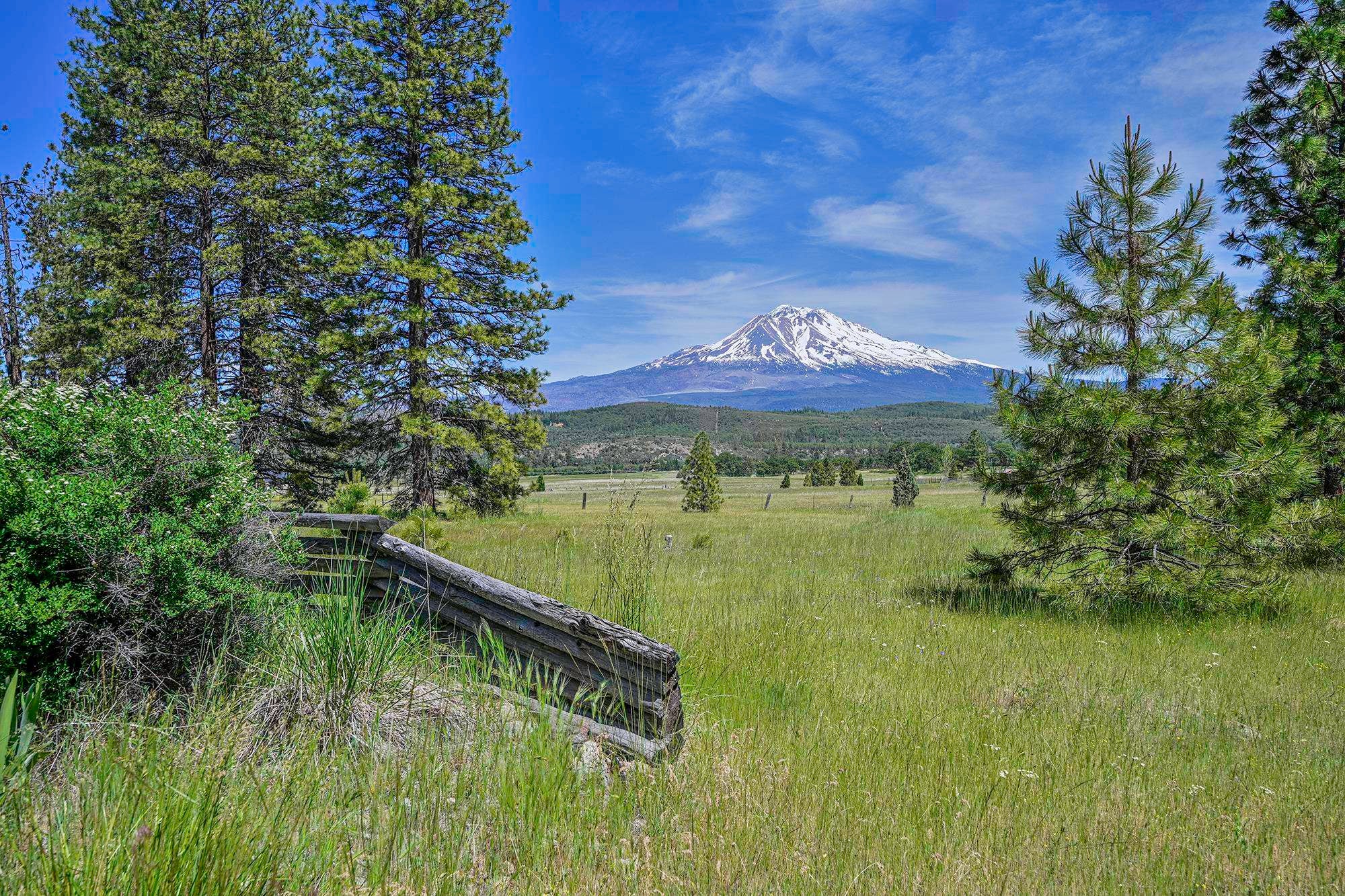 3333 Shasta Valley Road Weed, CA 96094 - Photo 6 of 24 Gallery Image 6