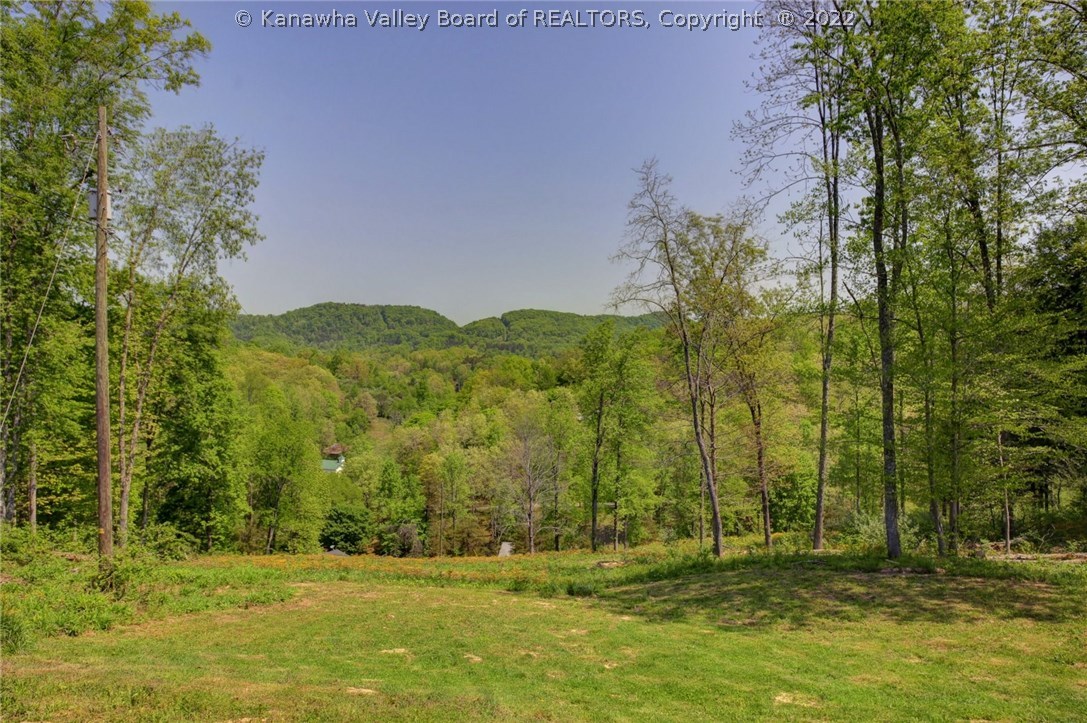 96 Ovapa Ridge Road Procious, WV 25164 - Photo 25 of 28 Gallery Image 25