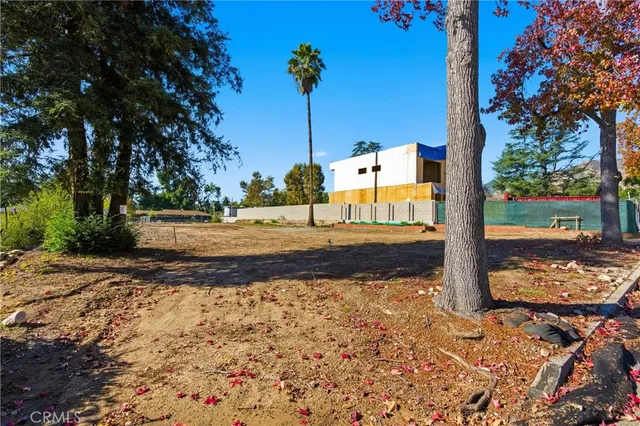 a view of a street with large tree