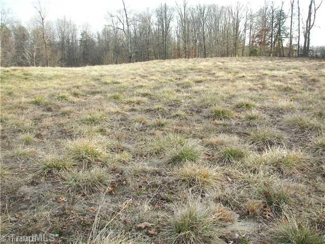 1497 Old Winston Road Pinnacle, NC 27043 - Photo 11 of 13 Land.