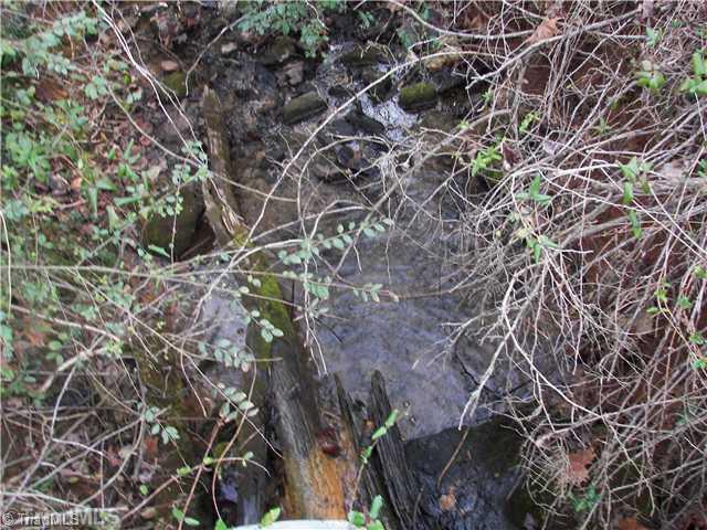 1497 Old Winston Road Pinnacle, NC 27043 - Photo 12 of 13 Land.