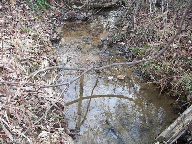 1497 Old Winston Road Pinnacle, NC 27043 - Photo 13 of 13 Land.