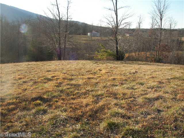 1497 Old Winston Road Pinnacle, NC 27043 - Photo 3 of 13 Land.