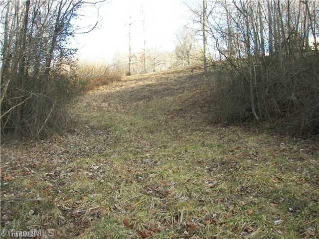 1497 Old Winston Road Pinnacle, NC 27043 - Photo 8 of 13 Land.