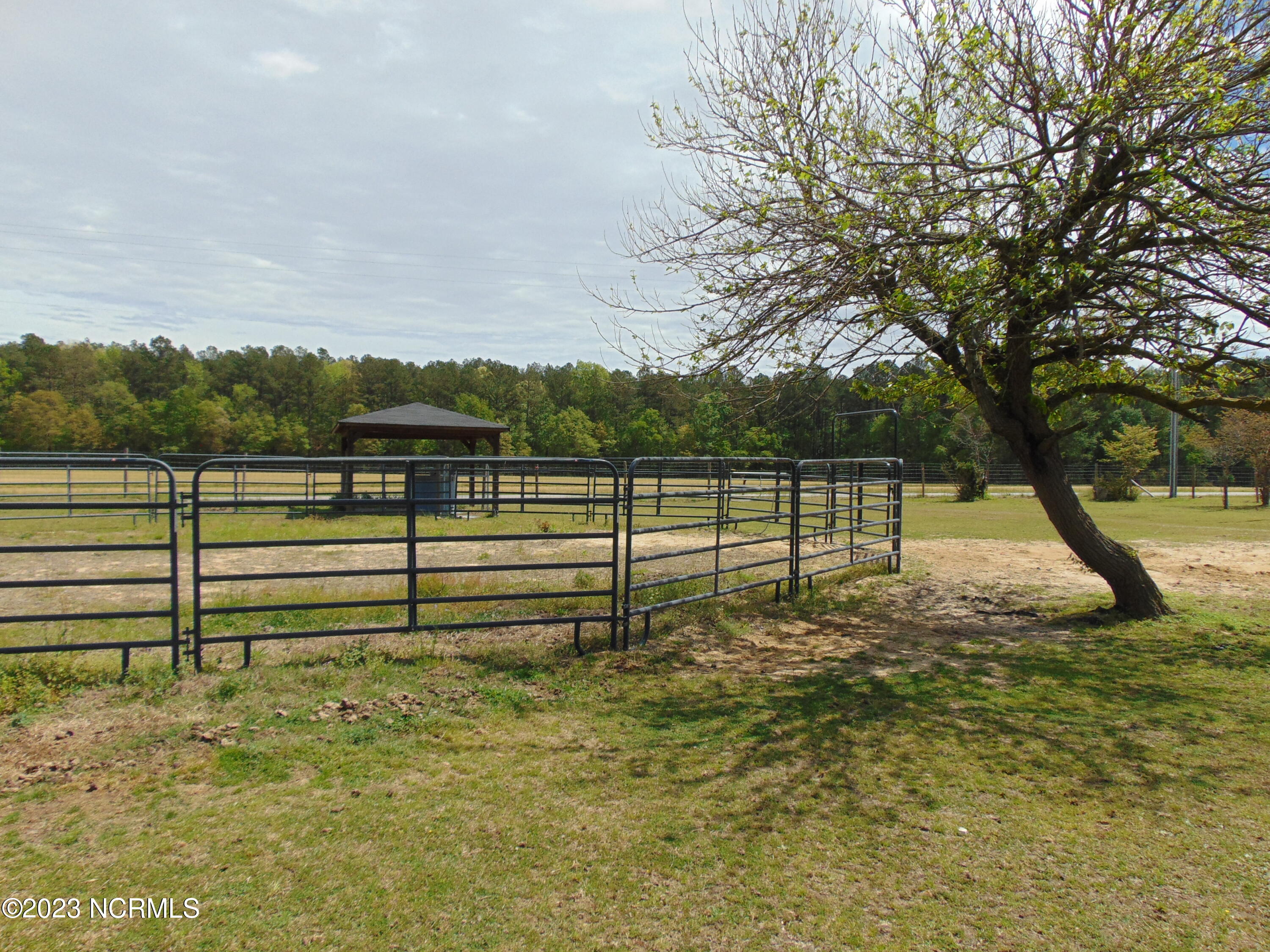 820 Thomas Road Rocky Mount, NC 27801 - Photo 14 of 94 DSC03596