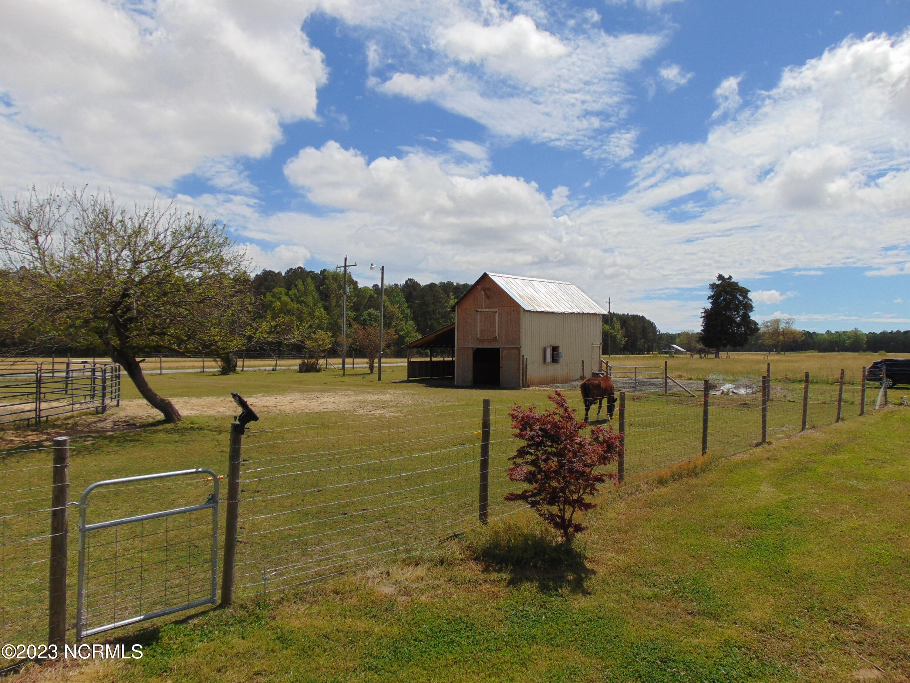 820 Thomas Road Rocky Mount, NC 27801 - Photo 33 of 94 DSC03620