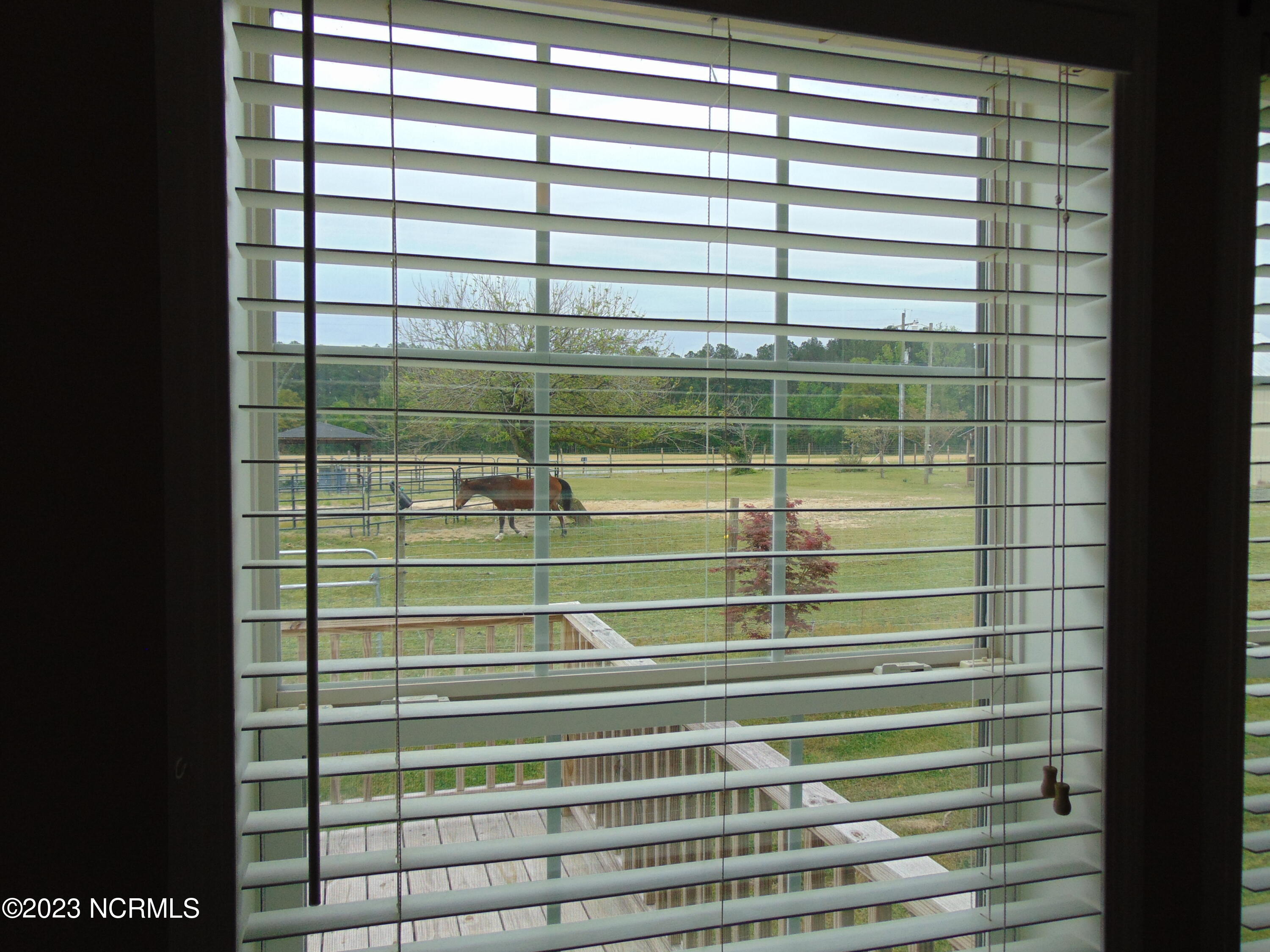 820 Thomas Road Rocky Mount, NC 27801 - Photo 52 of 94 DSC03535
