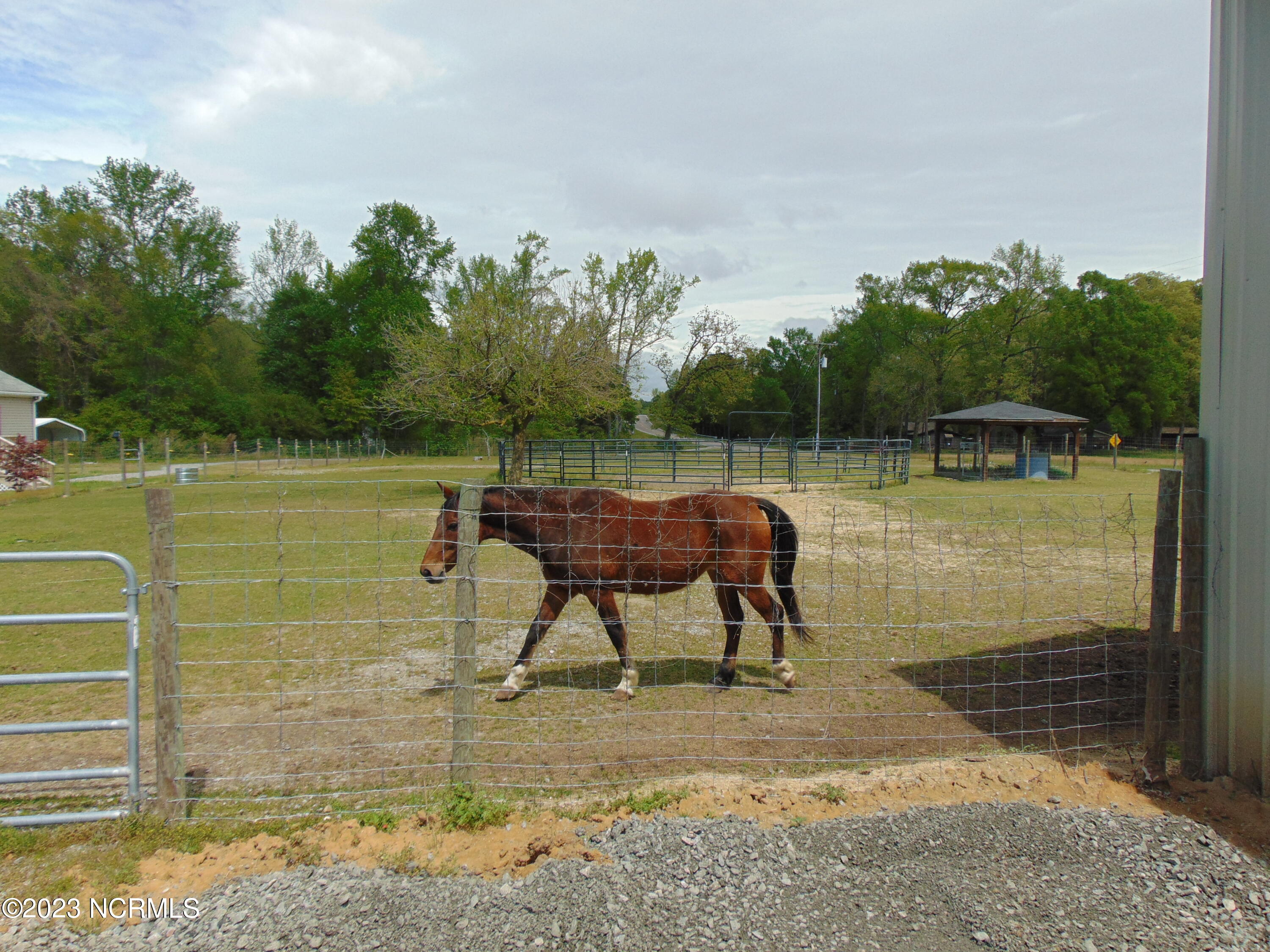 820 Thomas Road Rocky Mount, NC 27801 - Photo 87 of 94 DSC03588