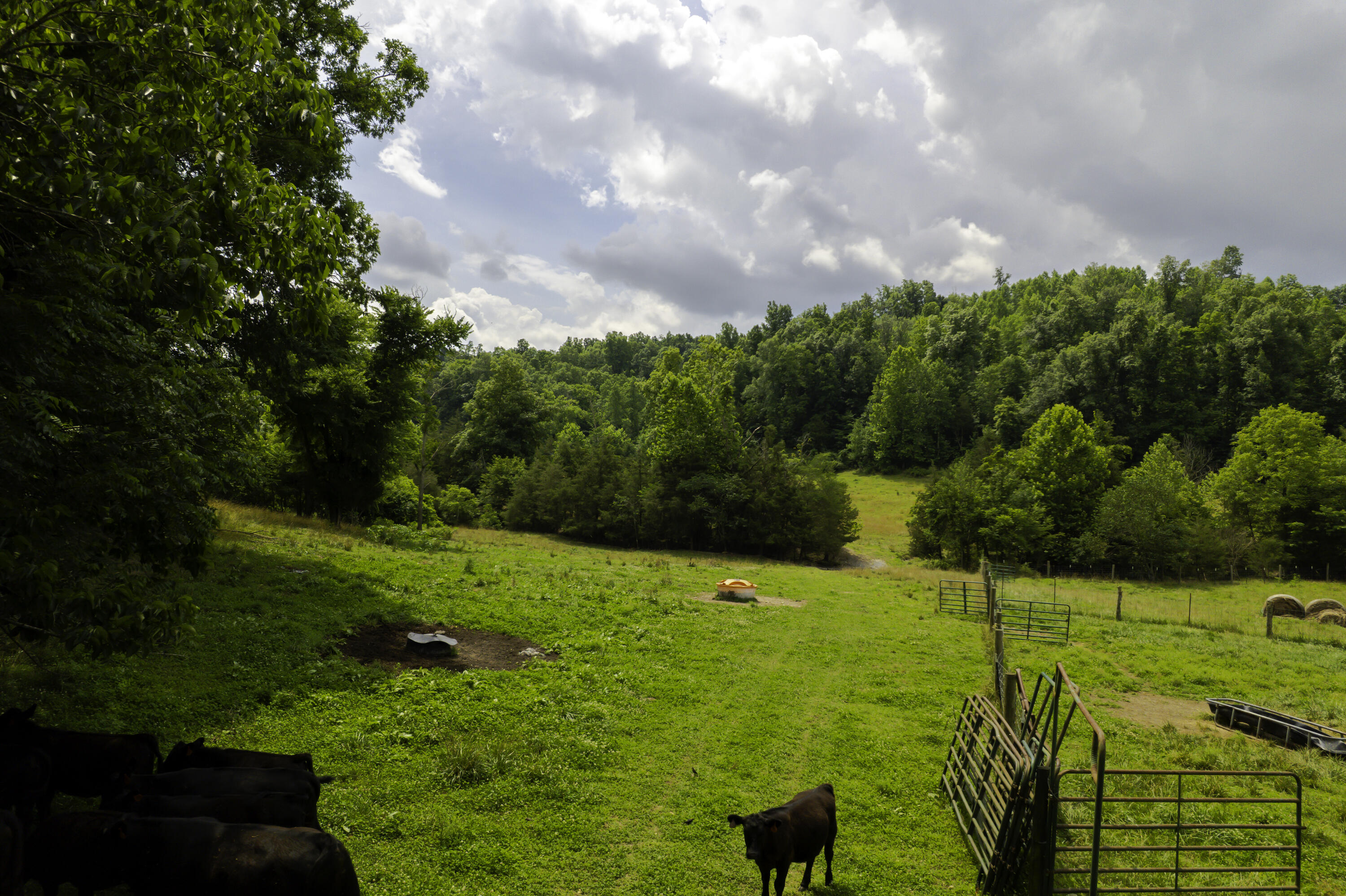 2000 Gosser Ridge Road Liberty, KY 42539 - Photo 25 of 33 DJI_0002