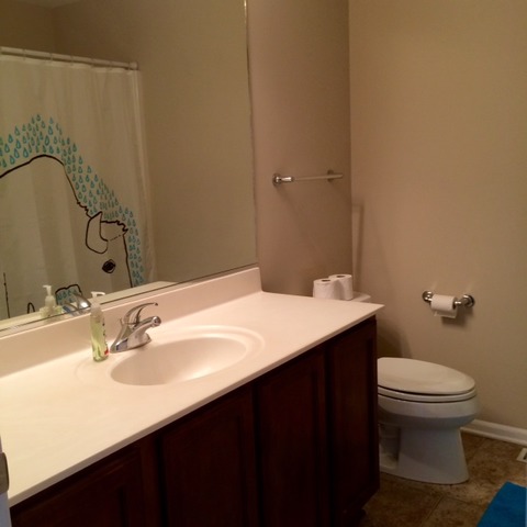 1012 Inverness Drive Antioch, IL 60002 - Photo 11 of 13