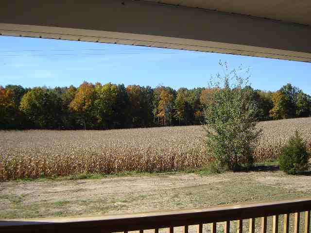 8512 Reynolds Road Horton, MI 49246 - Photo 3 of 6 Photo 3