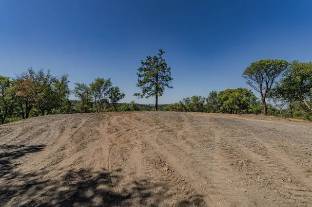 a view of a dry yard