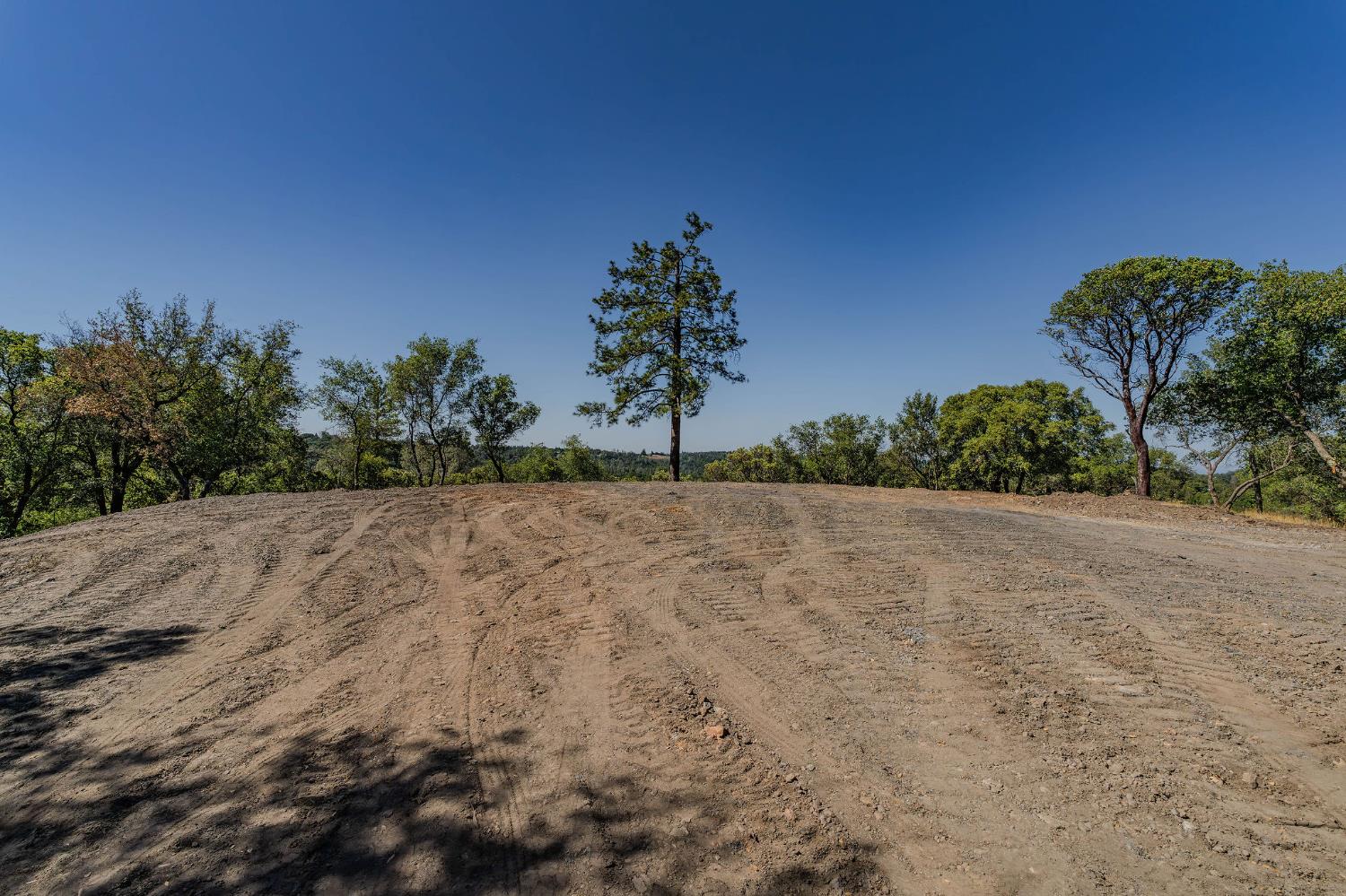 a view of a dry yard