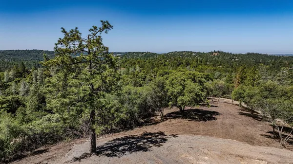 a view of a yard with trees