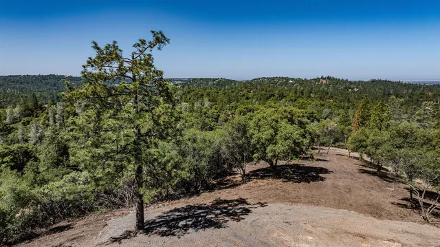 a view of a yard with trees