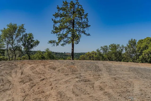 a view of dirt field with trees in background