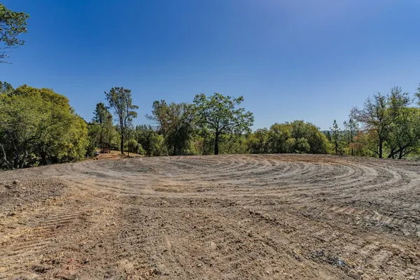 a view of a road with a trees
