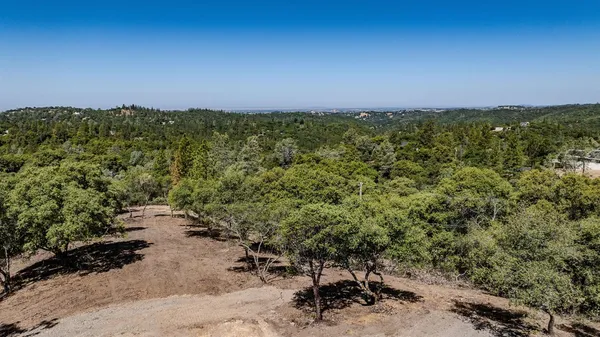 a view of a garden with a building in the background