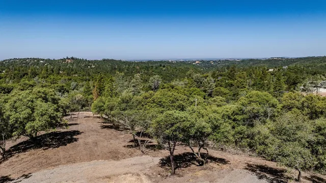 a view of a garden with a building in the background