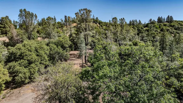 a view of a wooden bridge