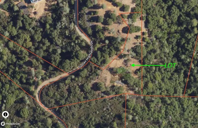 a view of a big yard with lots of bushes