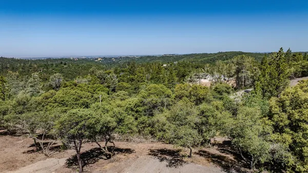 a view of a road with a trees