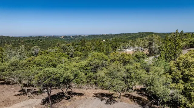a view of a road with a trees
