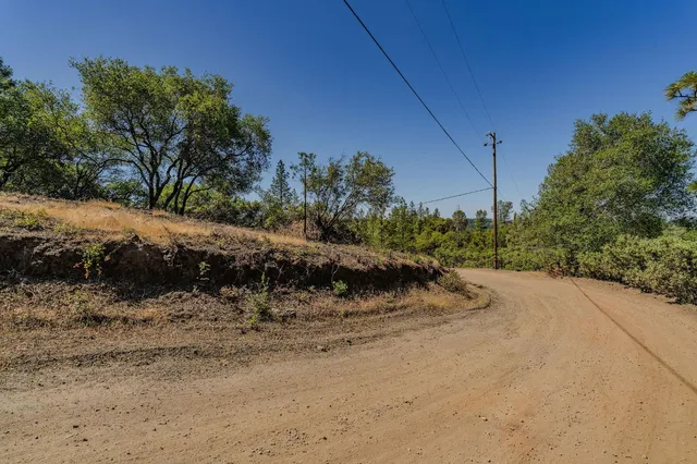 a view of a yard with a tree
