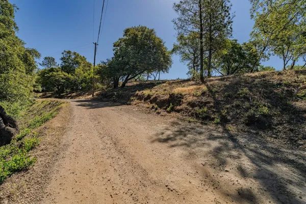 a view of a road with a trees