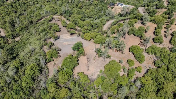 a view of a yard with a tree
