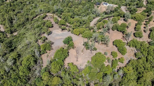 a view of a yard with a tree