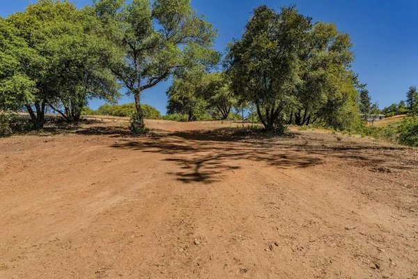 a view of a yard with a tree