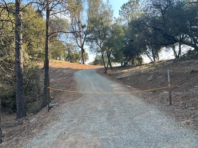 a view of outdoor space with trees