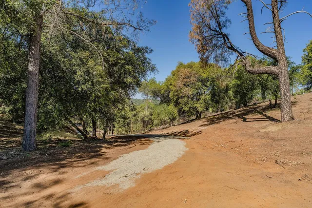 a view of a dirt road with trees in the background