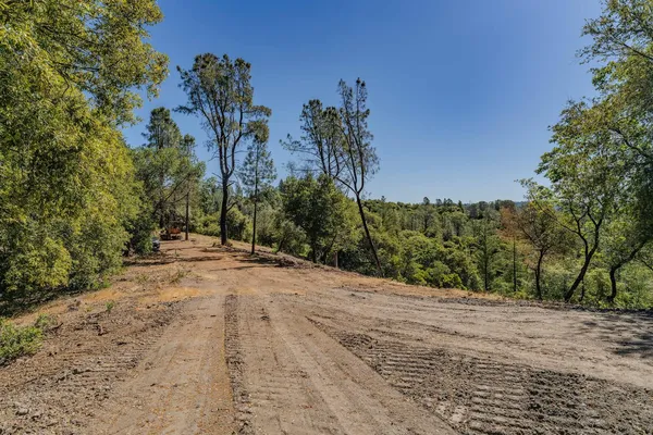 a view of dirt field and trees around