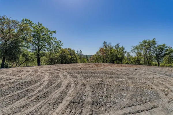 a view of dirt yard with a tree