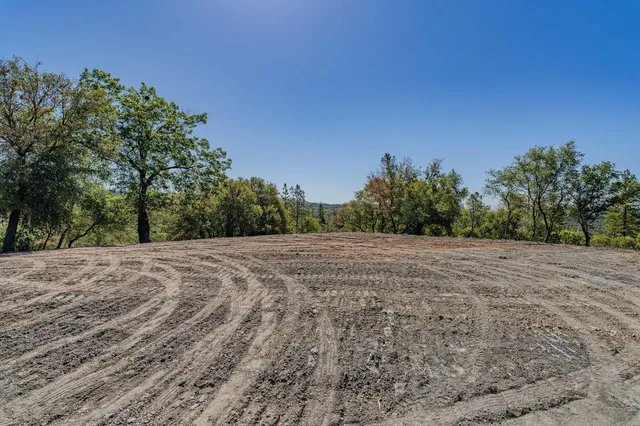a view of dirt yard with a tree