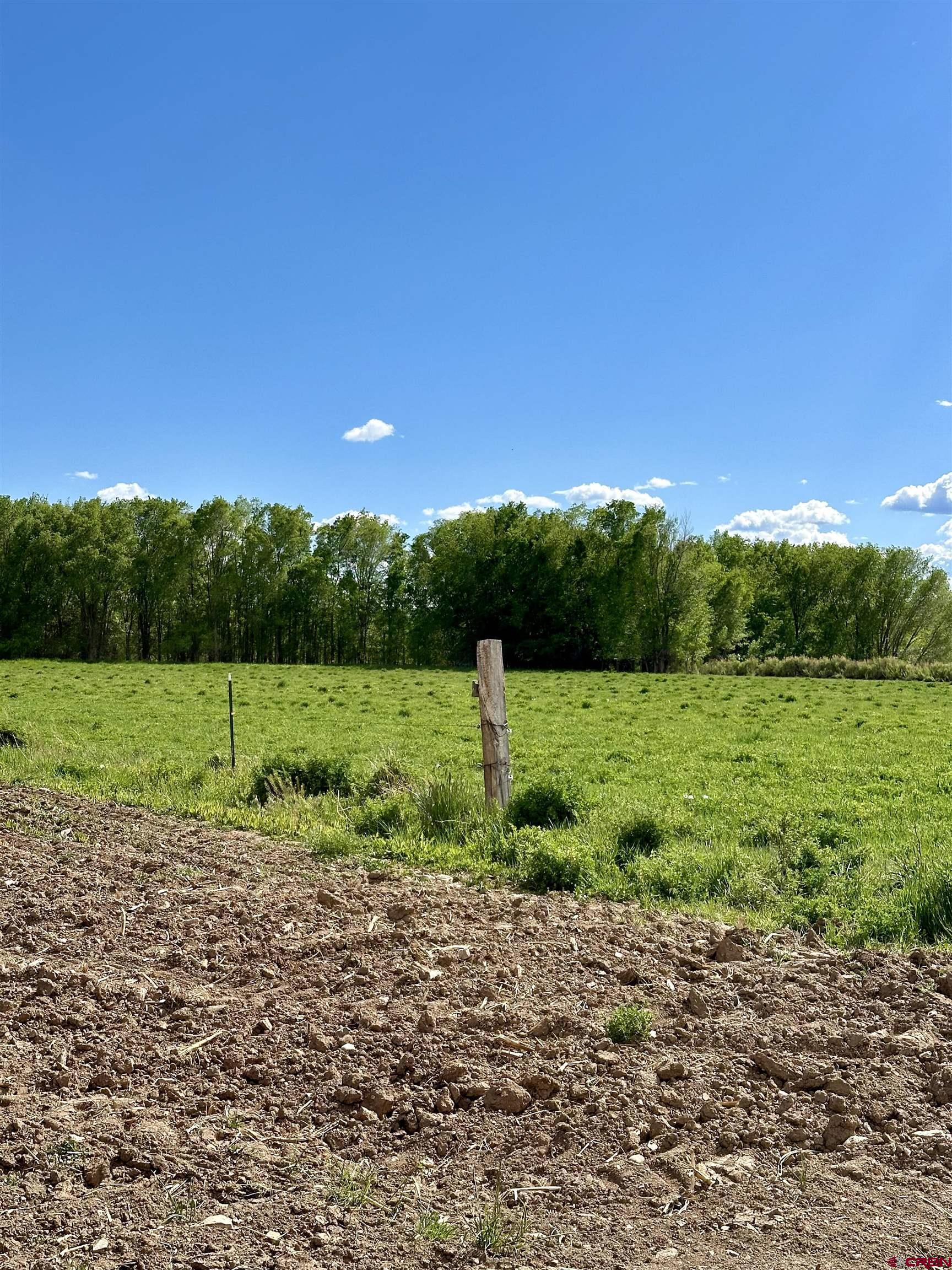 2527 5215th Road Delta, CO 81416 - Photo 31 of 35 Gallery Image 31