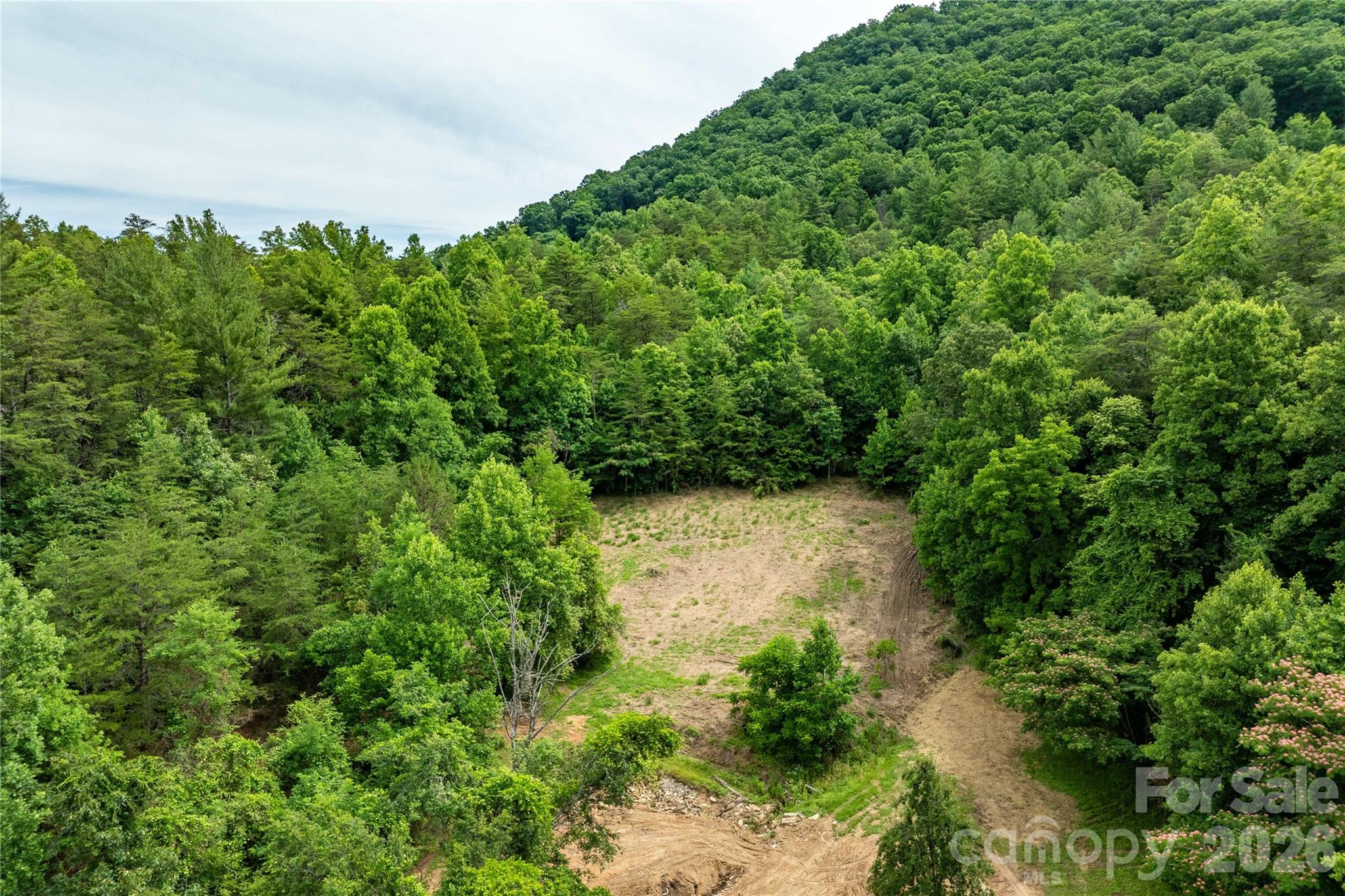 9999 Morgan Branch Road Weaverville, NC 28787 - Photo 6 of 24