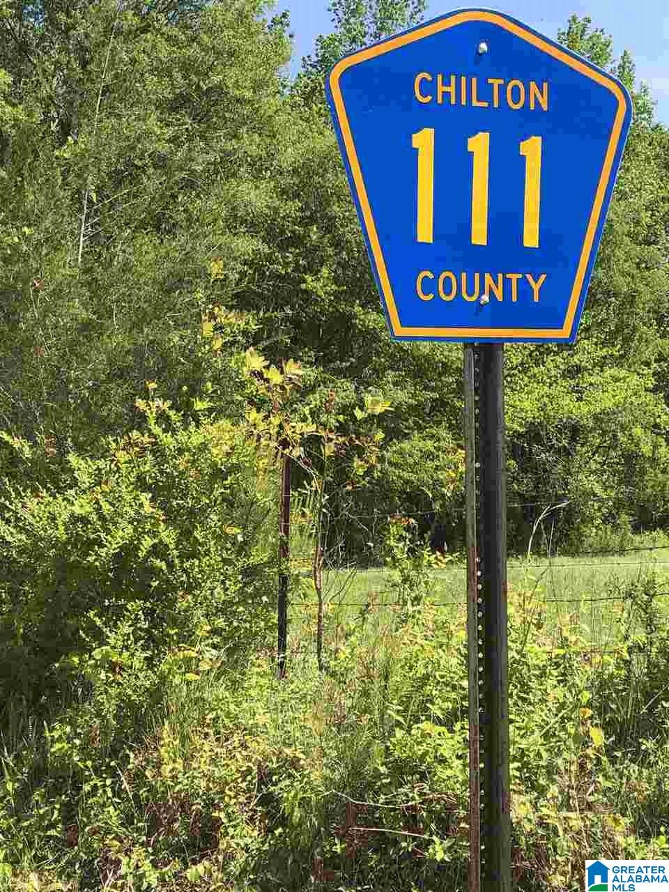 111 County Road 111 Montevallo, AL 35115 - Photo 37 of 46