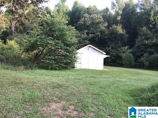 800 Philadelphia Church Road Piedmont, AL 36272 - Photo 5 of 20