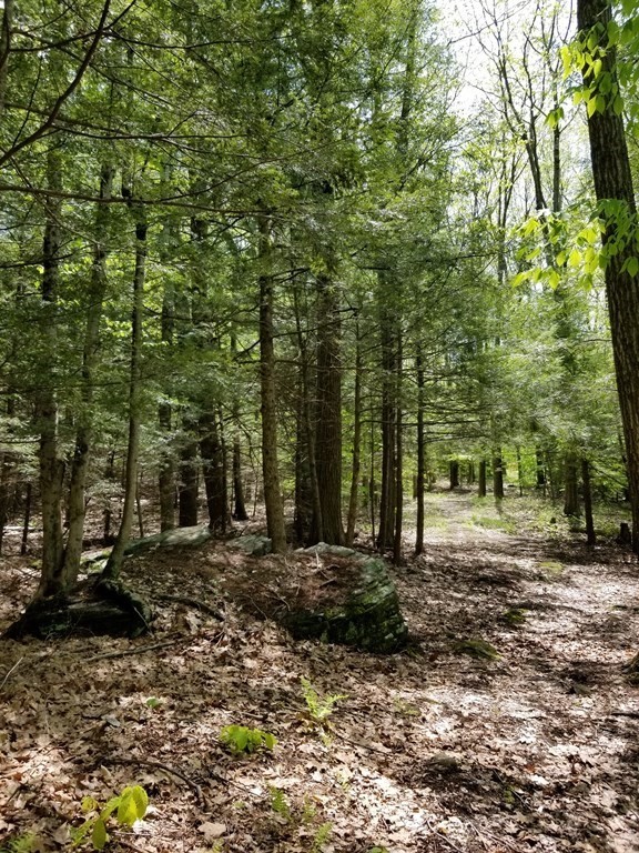 0 South Road Templeton, MA 01468 - Photo 7 of 23