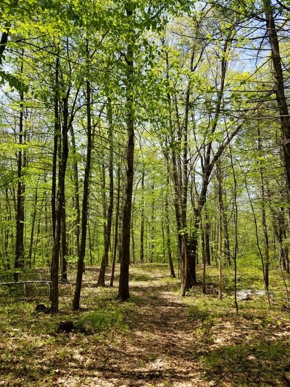 0 South Road Templeton, MA 01468 - Photo 8 of 23