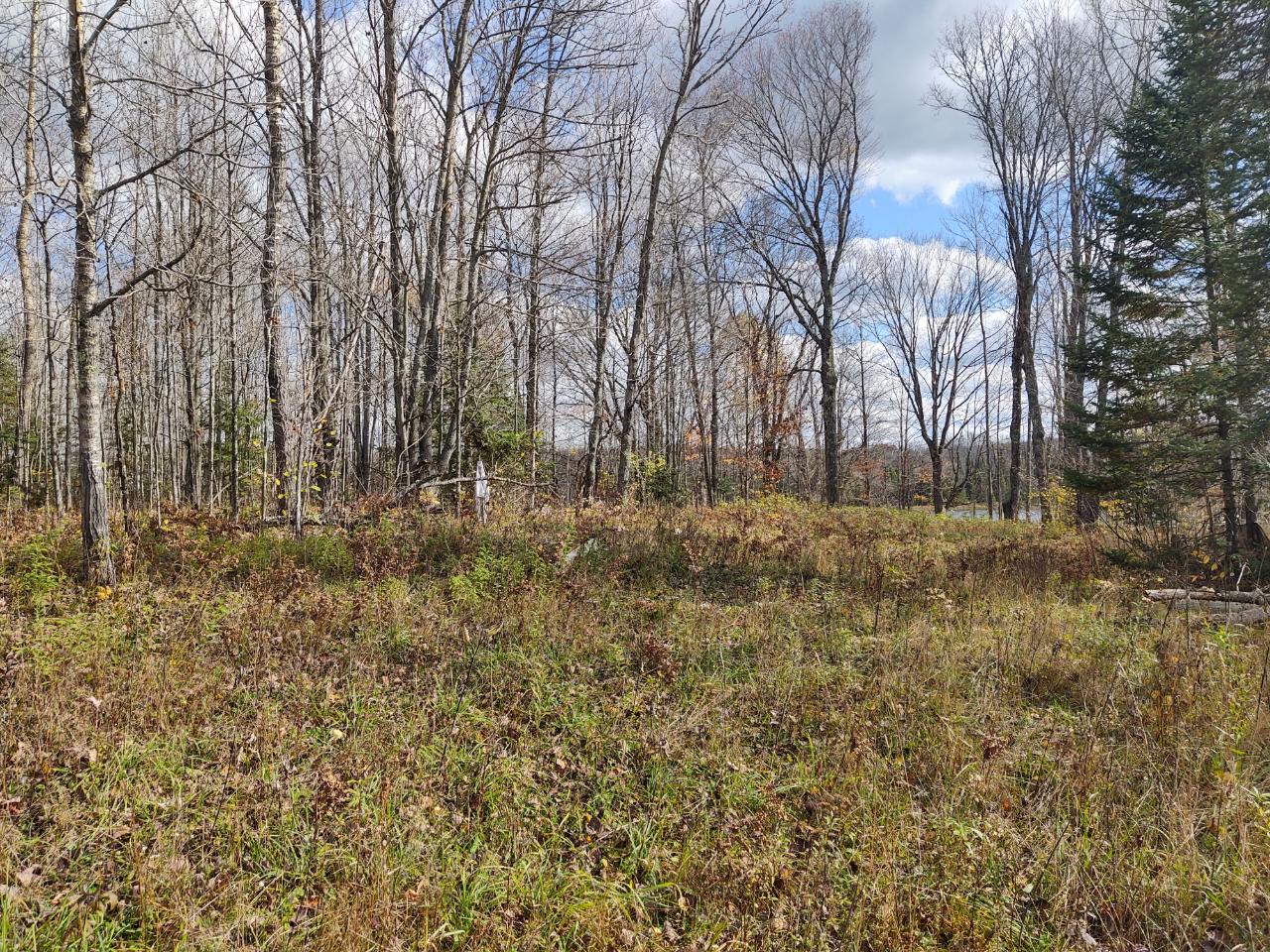 Lot 4 North River Road Park Falls, WI 54552 - Photo 11 of 37 Gallery Image 11