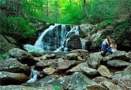 Lot 2020 Deep Gap Farm Rd Mill Spg W Unit 2020  