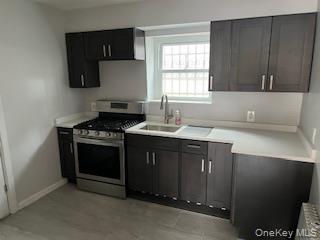4824 Beverley Road Brooklyn, NY 11203 - Photo 9 of 18 a kitchen with stainless steel appliances a sink stove and cabinets