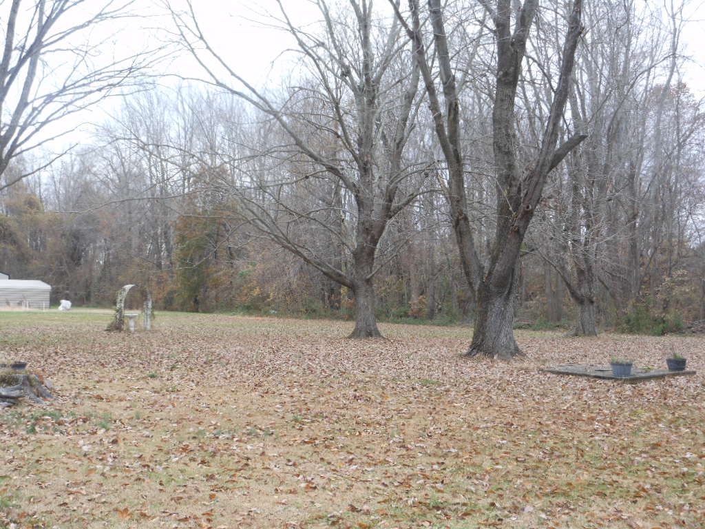 7100 Selvin Road Dale, IN 47523 - Photo 20 of 22