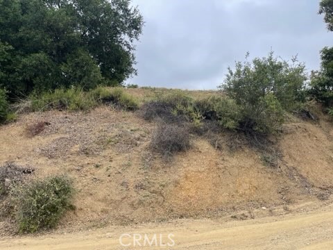 85 Apricot Lane Simi Valley, CA 93063 - Photo 4 of 14 a view of a dry yard with trees